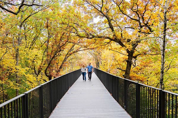 Elevated zoo walkway in autumn